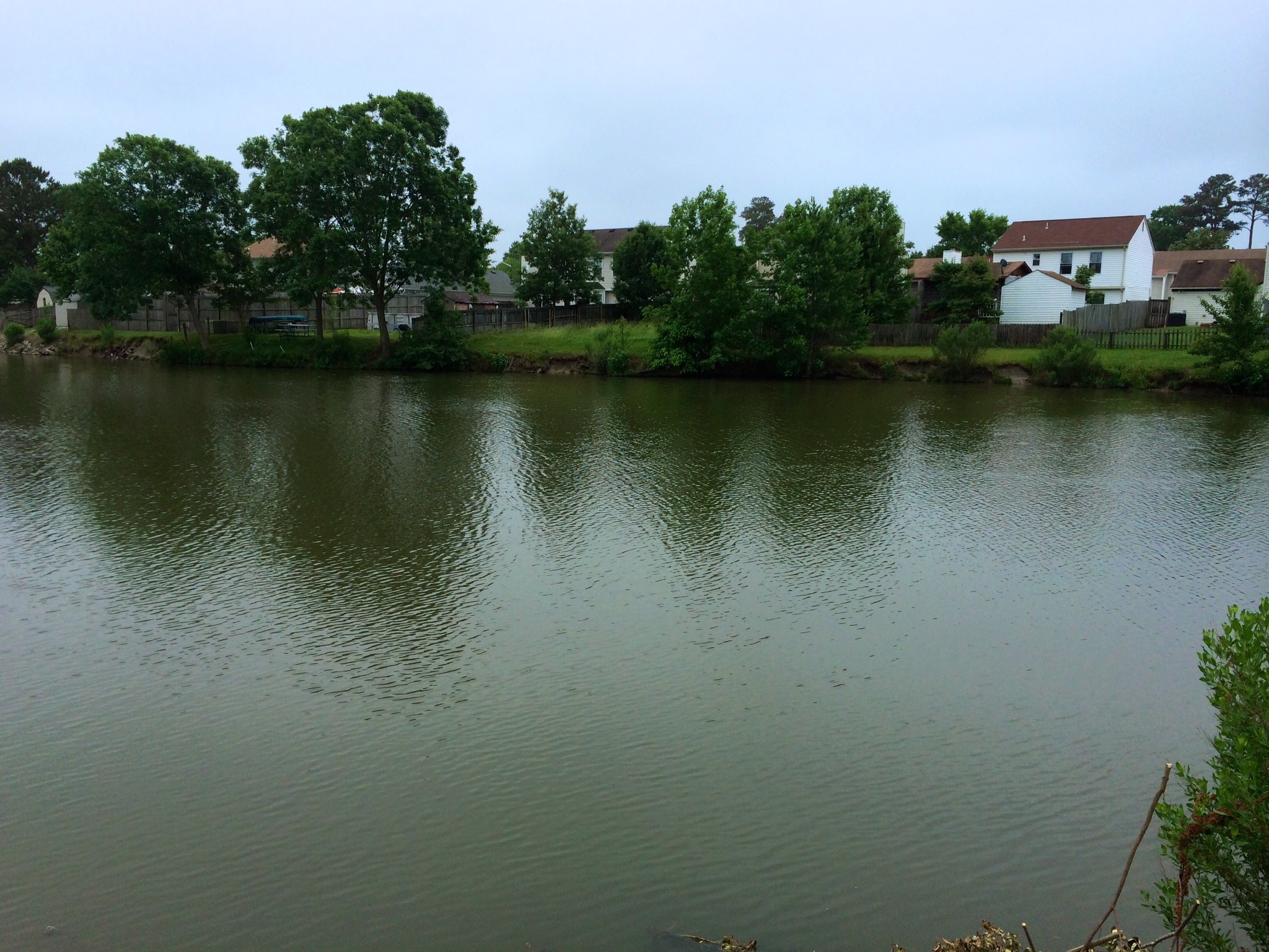 1956 Mill Creek Drive, Virginia Beach, VA 23456 Debbie Woolard, Realtor®